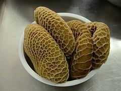 效益优先，匠心传承——曾成宗餐饮管理的牛肉连锁之道